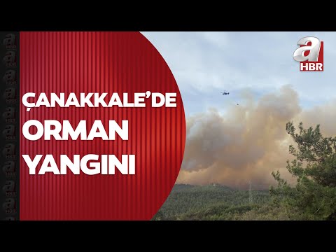 Çanakkale'nin Gelibolu ilçesindeki yangına havadan ve karadan müdahale ediliyor! | A Haber