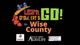 Learn, Grow, Eat, Go Wise County 2020 - 2021