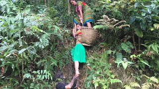 Primitive Life : The Ethnic Girls Break Bamboo Shoots and Meet Forest People
