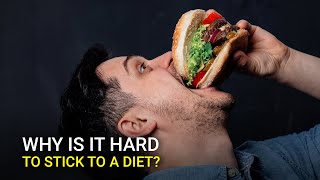 Why Is It Hard To Stick To A Diet?