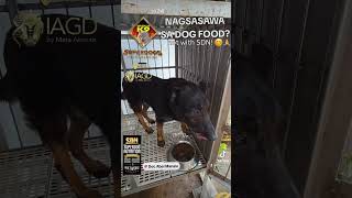 NAGSASAWA NA SA DOG FOOD? by Manalo K9 ● Meta Animals 217 views 3 weeks ago 5 minutes, 33 seconds