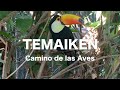 Temaiken - Camino de las aves - Escobar - Buenos Aires 2021