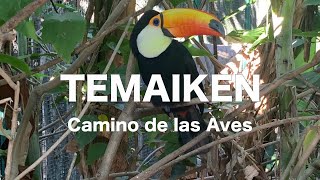 Temaiken - Camino de las aves - Escobar - Buenos Aires 2021