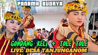 Panama Budaya // Kiprah Gondang Keli _ Tole Tole Banyumasan 