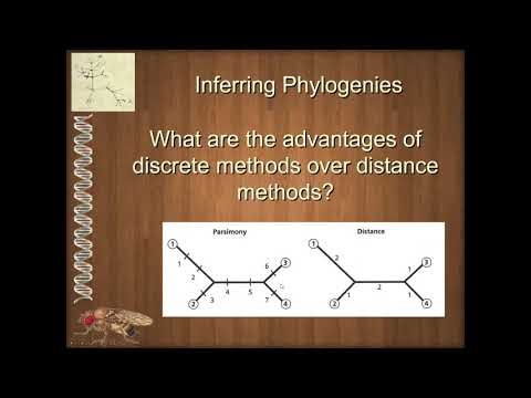 Distance Discret Unit 1 7 1 Distance v Discrete Data - YouTube