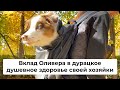 У лучшего психолога 4 лапы 🐾 Щенок аусси в рюкзаке