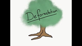 Deforestation Animation