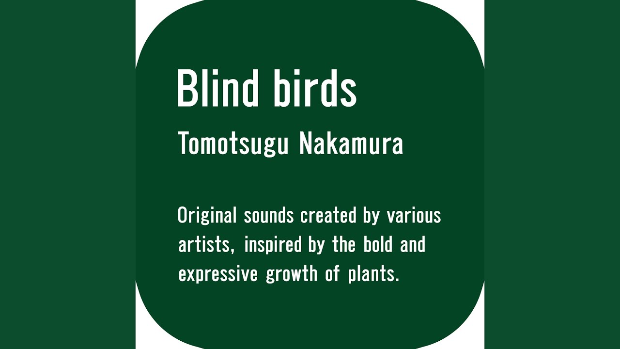 Blind birds
