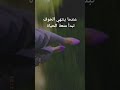 انا عارفة انك اصلا بصباصة اماصه اولالا