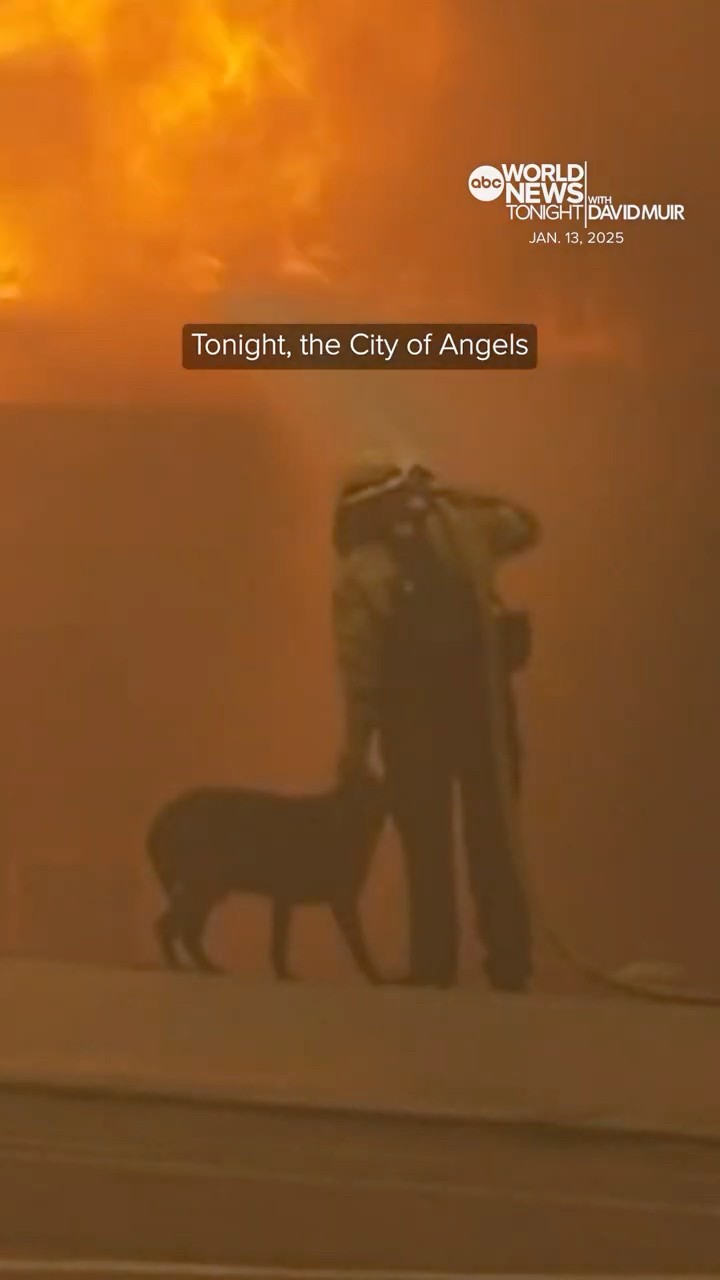 Firefighter helps rescue dog while battling Eaton Fire
