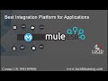 Mulesoft Training Demo - Lucid IT Training
