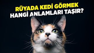 Ruyada Kedi Gormek Ne Anlama Gelir Ruyada Yavru Kedi Gormek Nedir Ruyada Beyaz Ve Siyah Kedi Gormek Tabiri Nedir