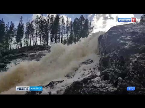 Video: Chukavinin tarkkuuskivääri. Ase, jonka Putin ampui