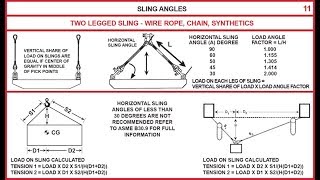 Famous Sling Angles Net Worth