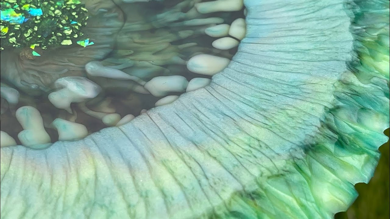 Чаша из смолы SuperNova 