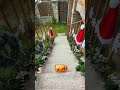 Crushing and Breaking Glass Bottles Vs. Stairs (Crunchy ASMR) ⚠️🔥 #satisfying #shorts