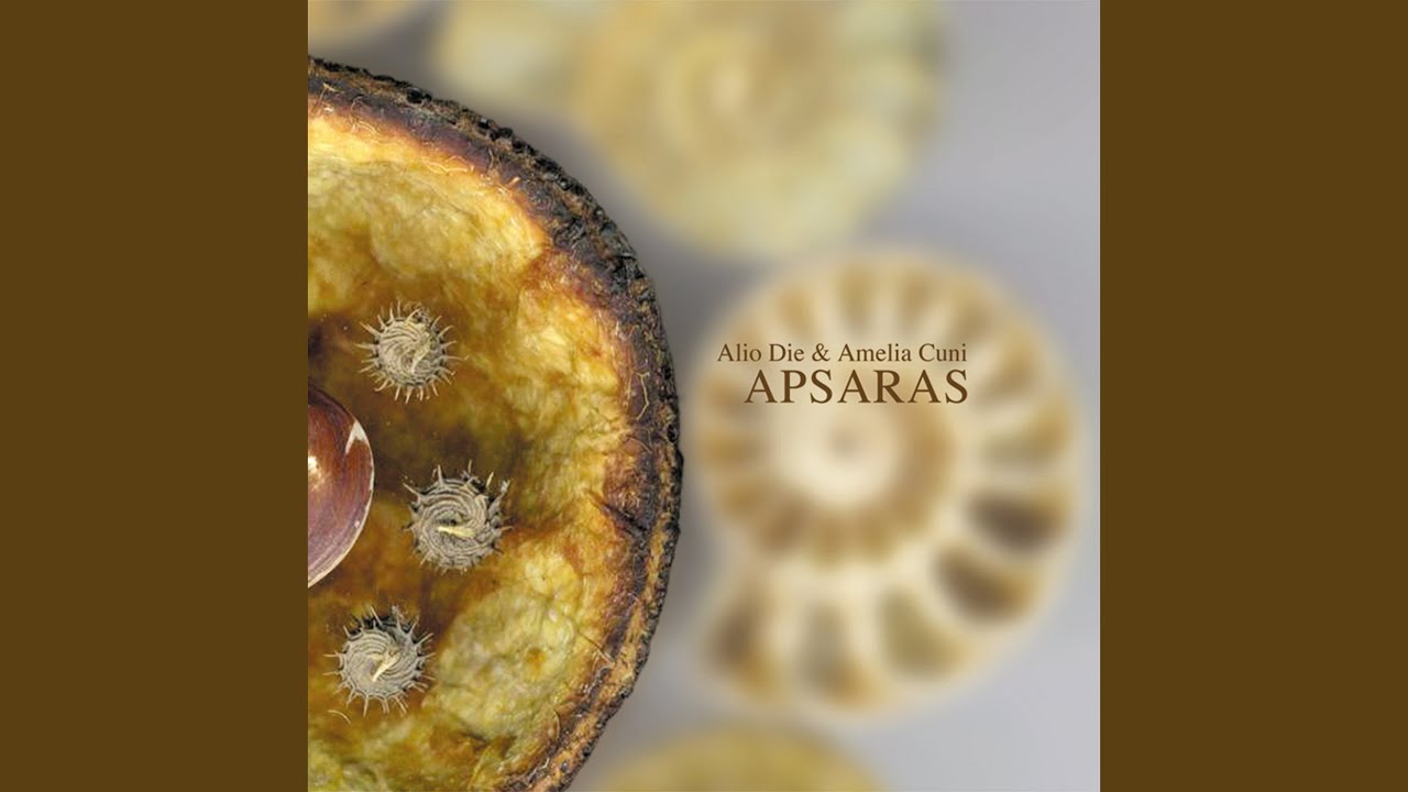 Watch APSARAS on YouTube Watch APSARAS on YouTube
