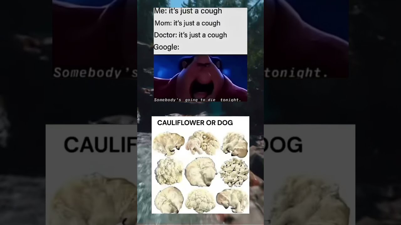 6a Funnyimages Memes Zyxabc Memesdaily
