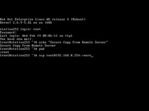 Secure Copy From Remote Server