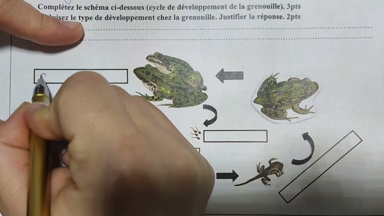 Contrôle N°1 S2 SVT ثانية إعدادي