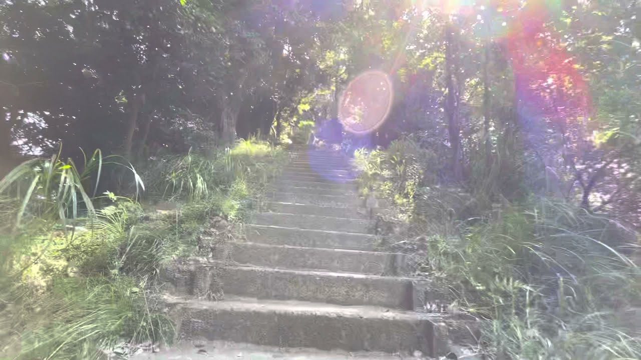 千葉 のこぎり山 １ (関東ふれあいの道から登山)