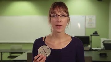 Antibiotics Resistance Lab