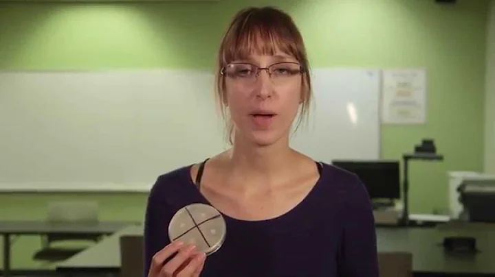 Antibiotics Resistance Lab