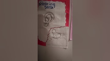 BPT1501 Assignment 6 presentation