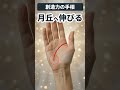 【手相】想像力が桁違い！クリエイターに多い頭脳線