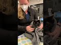 Giving oral liquid medication to cats