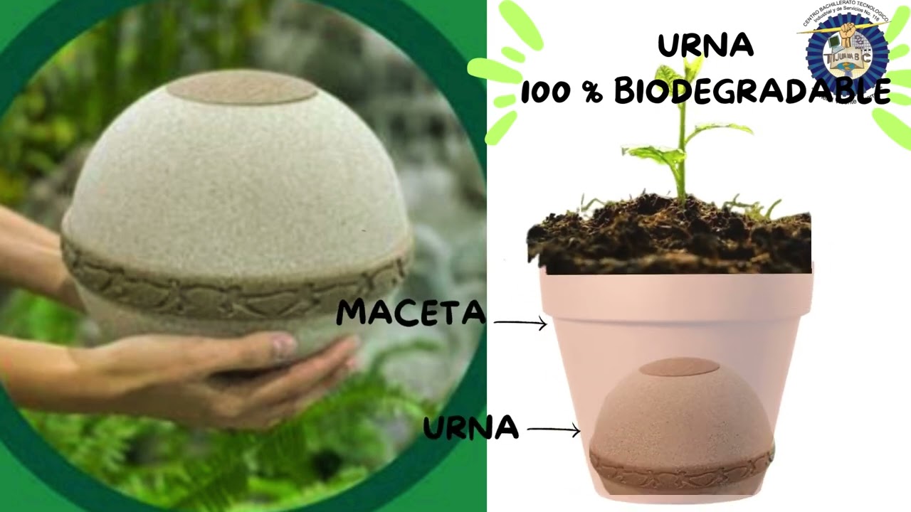 “Pet´s Eternal Roots”