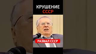 РЕЖИМ 1 ПАРТИИ #жириновский #мотивация #личность #база #бизнес #психология #дети #мотивация #совет