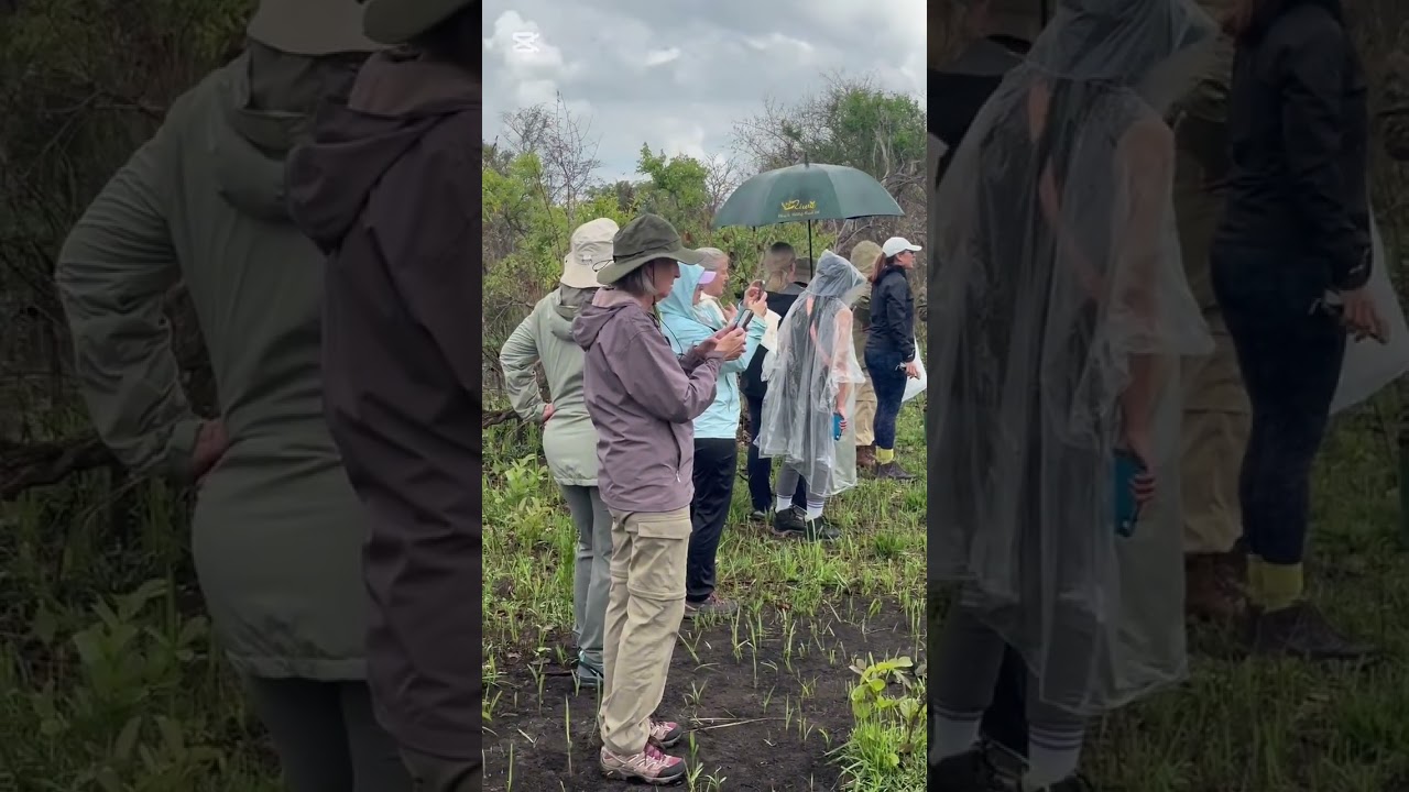 Day 3 started out in downtown Kampala and made our way to rhino sanctuary then murchison falls