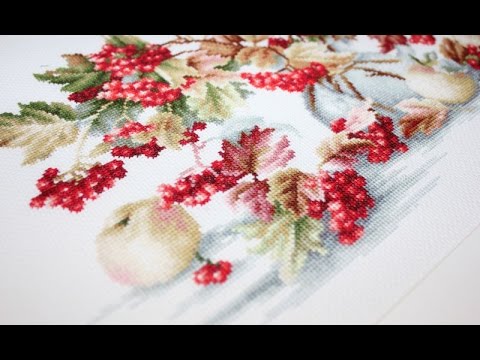 №53 Калина/ Luca-S/ Отчет 1