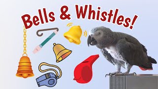 Bells and Whistles with Einstein and Jeff