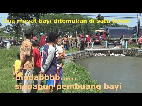 Video: Bayi Ditemui Mati Terapung Di Sungai Timur