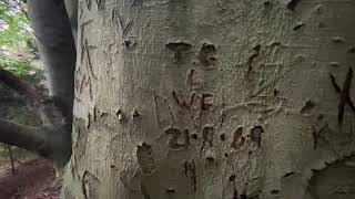 Trosley County Park walk