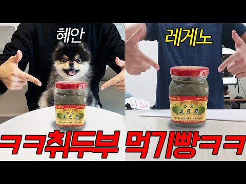 혜안VS레게노(게임 <strong>진</strong> <strong>사람</strong> 취두부 먹기빵ㅋㅋㅋㅋㅋㅋ으악ㅋㅋㅋ)