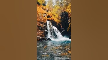 ( إِنَّ اللَّهَ وَمَلَائِكَتَهُ يُصَلُّونَ عَلَى النَّبِيِّ ) القارئ عمر الدريويز