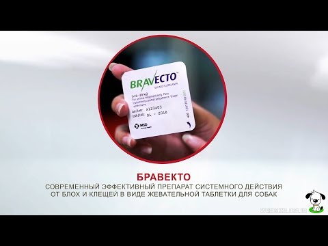 Vídeo: Suspeita De Toxicidade Neurológica Após Aplicação Oral De Fluralaner (Bravecto®) Em Um Cão Kooikerhondje