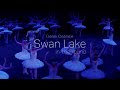 Swan lake intheround at the royal albert hall  english national ballet