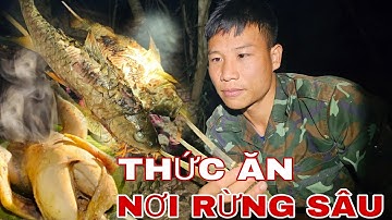 ĐI TÌM MẬT ONG RỪNG CUỐI VỤ & CÂU CÁ SUỐI, SĂN GÀ RỪNG LÀM THỨC ĂN NƠI RỪNG SÂU !