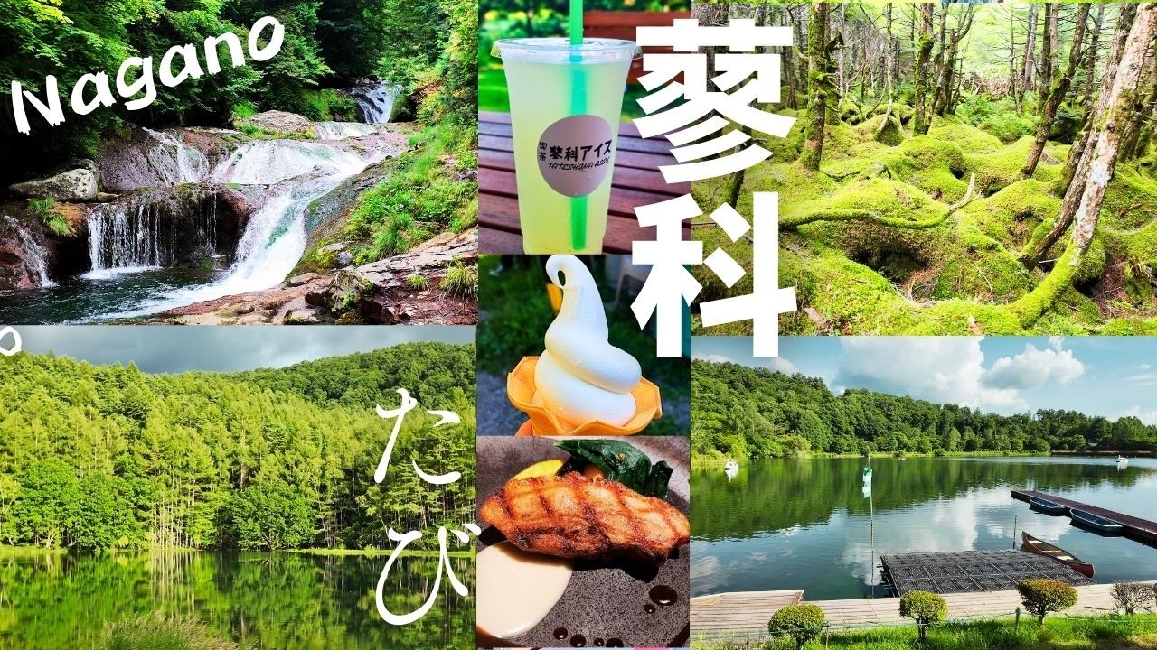 【長野・蓼科一日観光】神秘☆蓼科の絶景を巡る癒し旅🍃絶品グルメも満喫　白駒の池｜もののけの森｜御射鹿池｜蓼科湖｜蓼科大滝｜おしどり隠しの滝｜遊楽庵  信州酒ミュージアム｜くらすわ諏訪本店