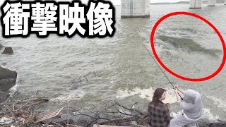 【世界記録】衝撃信じられない生物が・・・【ラファエル】