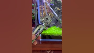 Thumbnail of Changing my co2 cartridge #aquarium #aquascaping #natureaquarium #aquascape #fishtank #plantedtank