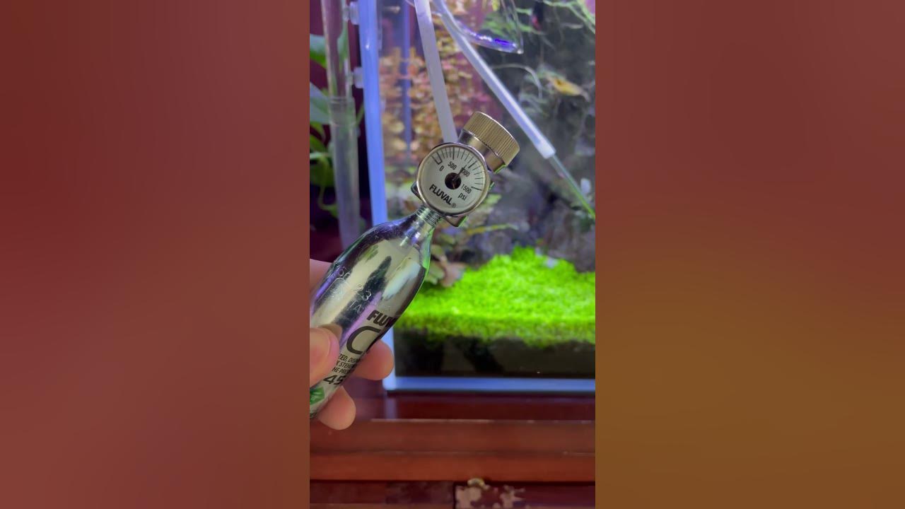 Changing my co2 cartridge #aquarium #aquascaping #natureaquarium #aquascape #fishtank #plantedtank