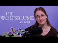 Die Wolfsblume (Silk &amp; Lute Cover)