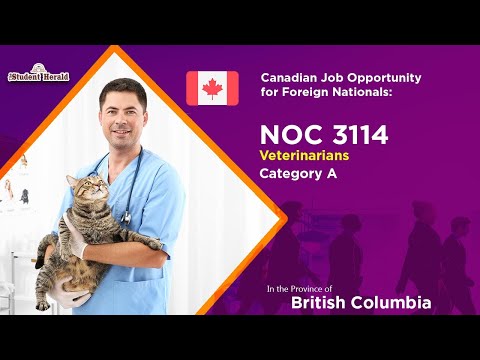 Canadian Job Opportunity for Foreign Nationals: NOC 3114, Job Title Veterinarians