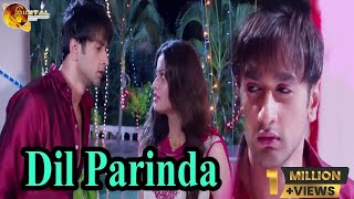 Dil Parinda | Sad Song | HD Video