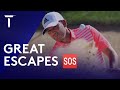 Greatest Escapes of the Year | Best of 2020